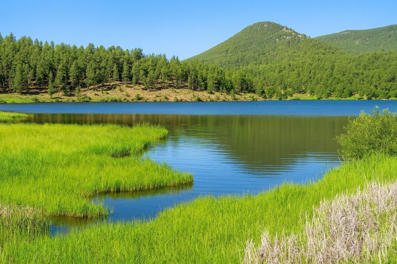 Best Bathroom Remodeling pros in Woodland Park, CO